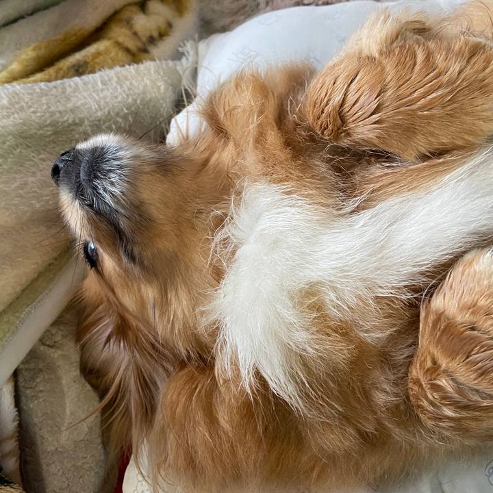 Ee2418de b7a6 43b2 a995 2eab6c7a4bdf 1652823271881