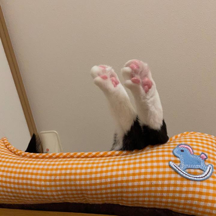 Ee249fc2 d04a 4e9a a488 ce796e048a8d 1664010269397