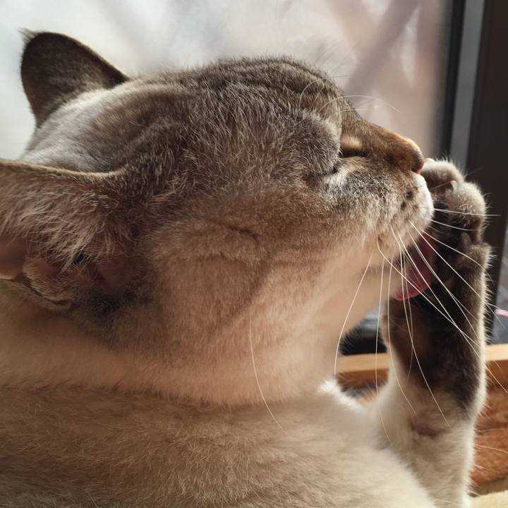 Ee24a2da 94f0 4cab aa59 2b394082c91d 1545616662322