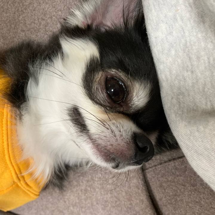 Ee24d527 f127 4198 9489 630049e30dd4 1670080095366