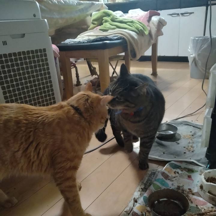 Ee250902 bdff 4241 8240 4a5567ec8dd0 1678487936900