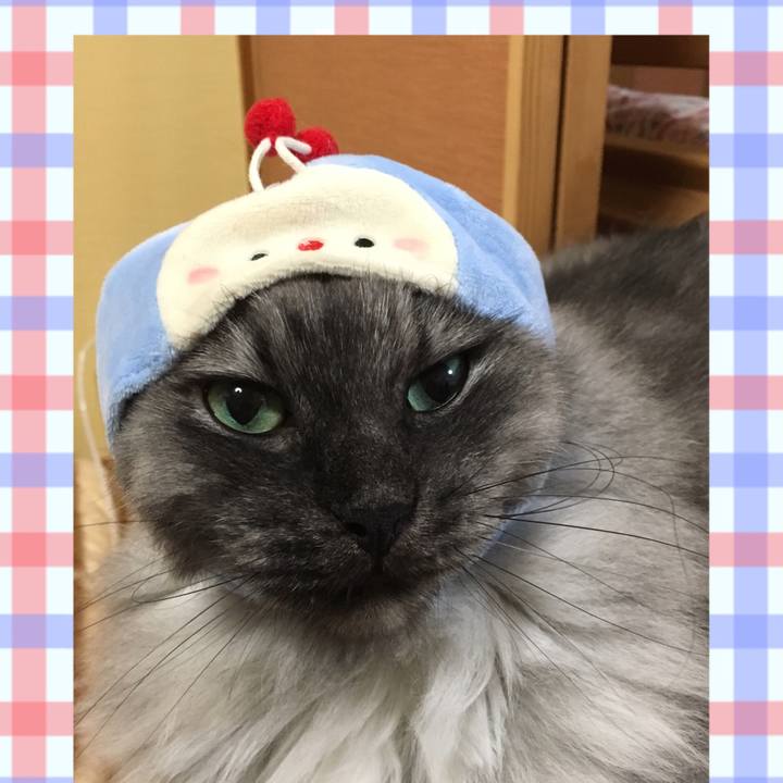 Ee2521b9 30f0 4000 9f1f 0a9d681a6055 1557711618109