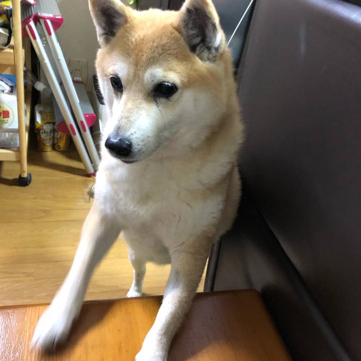 Ee252d19 2adf 4d99 9d5e 9d21227962ab 1555400133510