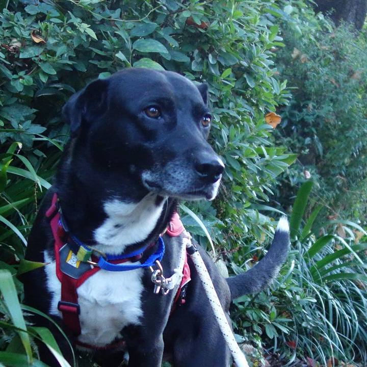 Ee2540fa 75a3 4809 87d7 e2db0d8f420f 1667697266913