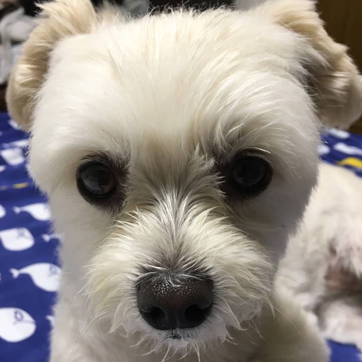 Ee2552f2 9a54 4a3e 86ca 47f6bdd97a13 1561813516228