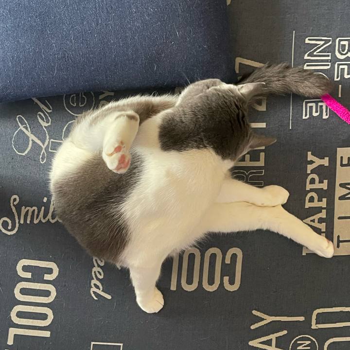 Ee257bfb f213 44ff ae12 60cb0161eebd 1746491226855