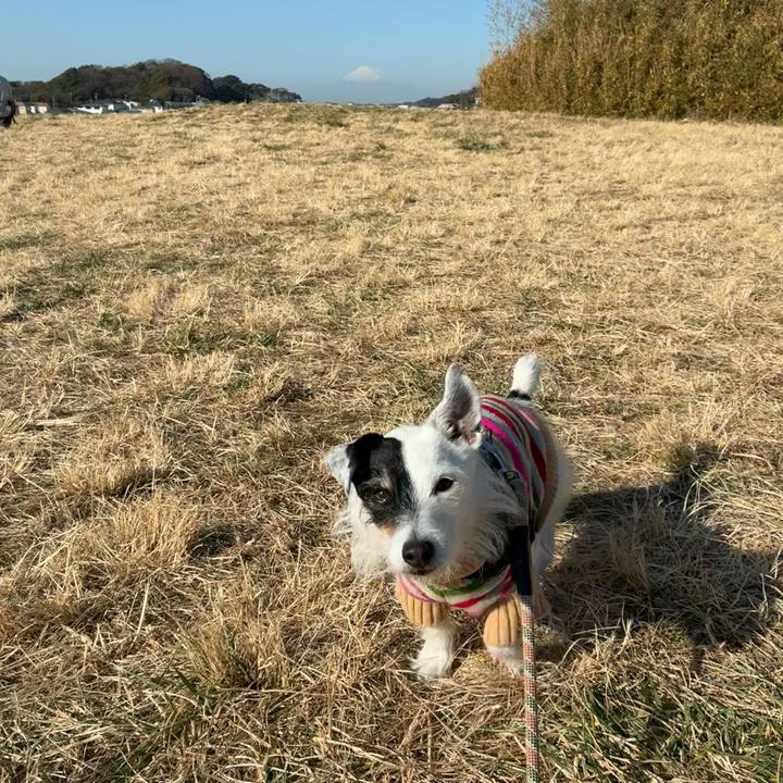 Ee25854c 9c89 46d8 a43d 642f8cbb5311 1768529563449