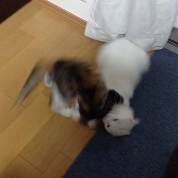 Ee258e8a 9a82 47eb 8c2f a2feaa91f063 1628632101112