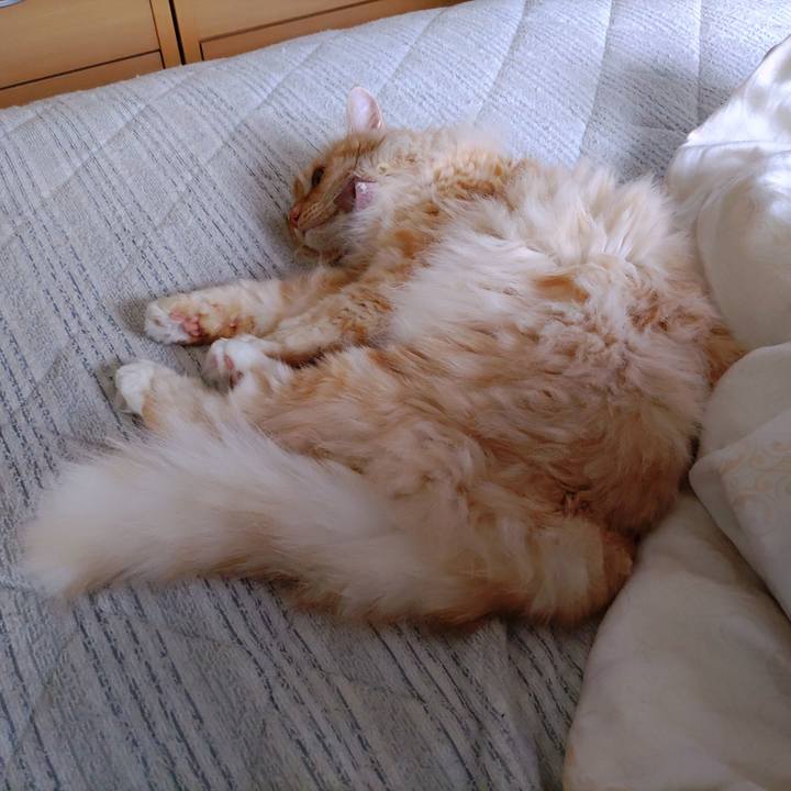 Ee261cba 4f23 4cea 959c ae60686a2710 1720052131921