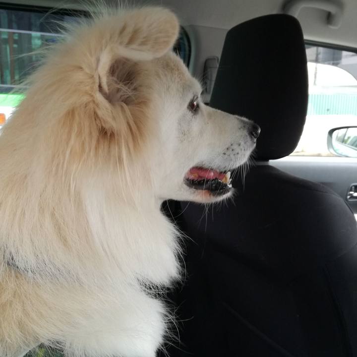 Ee262193 9ae7 4769 98a0 fbde2dd8bfbe 1536400074160