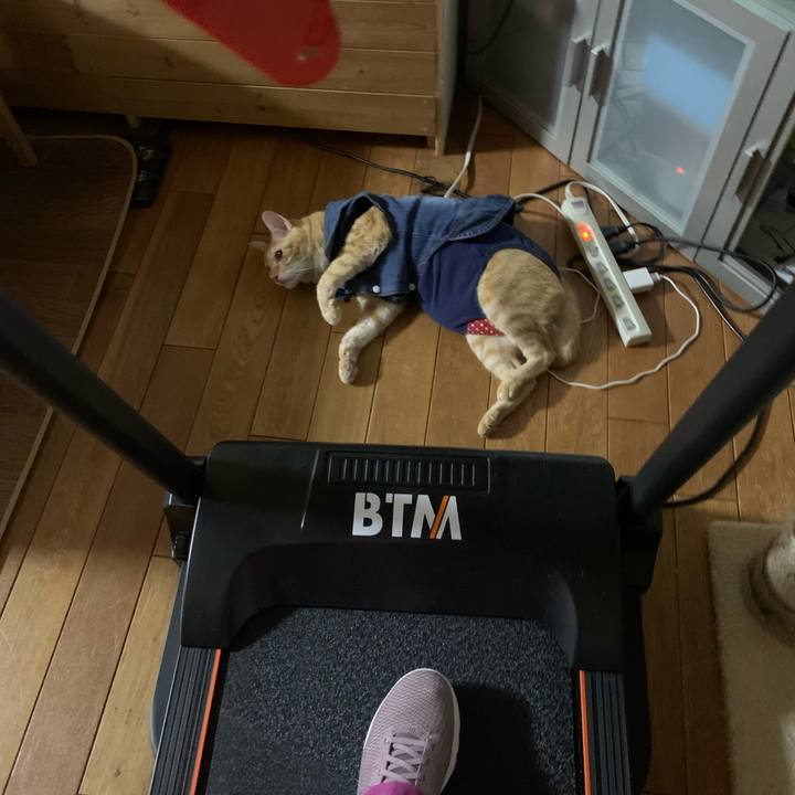 Ee263ad5 6977 4e99 9fb7 de4efb9503b3 1623329366552