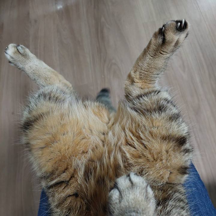 Ee265483 7444 421c 9b60 1bfe670e01a9 1729209935428