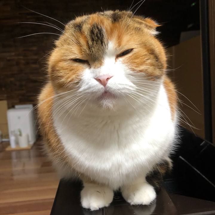 Ee266c77 3ce2 4b93 9b4e de21027bc648 1607596127108