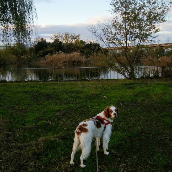 Ee266f92 2a05 46ea 8264 8ccbc5e875f7 1544746419587