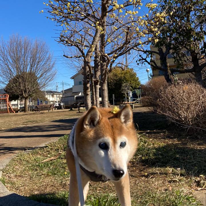 Ee26a8c2 1ec6 41c5 adde 29f7315289cc 1739151209185