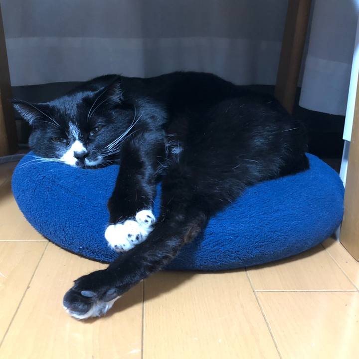 Ee26b654 d9be 4185 9308 8e2d6c6925fb 1648437676716