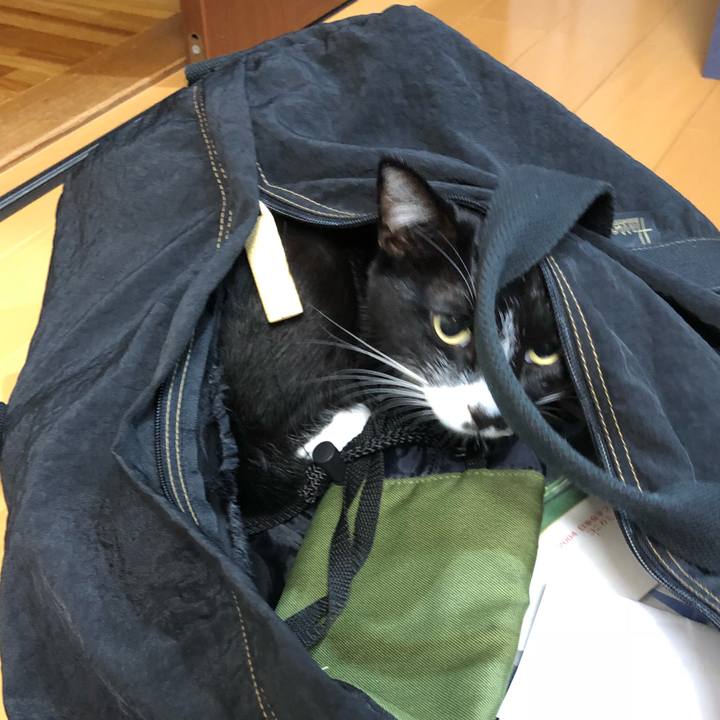 Ee26b7e1 a5da 4f9d be71 65c22b296a30 1538624742175