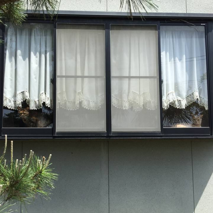 Ee26c509 5766 4cd6 989b d1750e598fbd 1526353807799