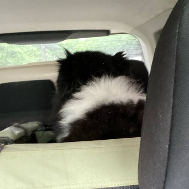 Ee274e57 84a0 490d 825d 6c70a5b07511 1689717705206