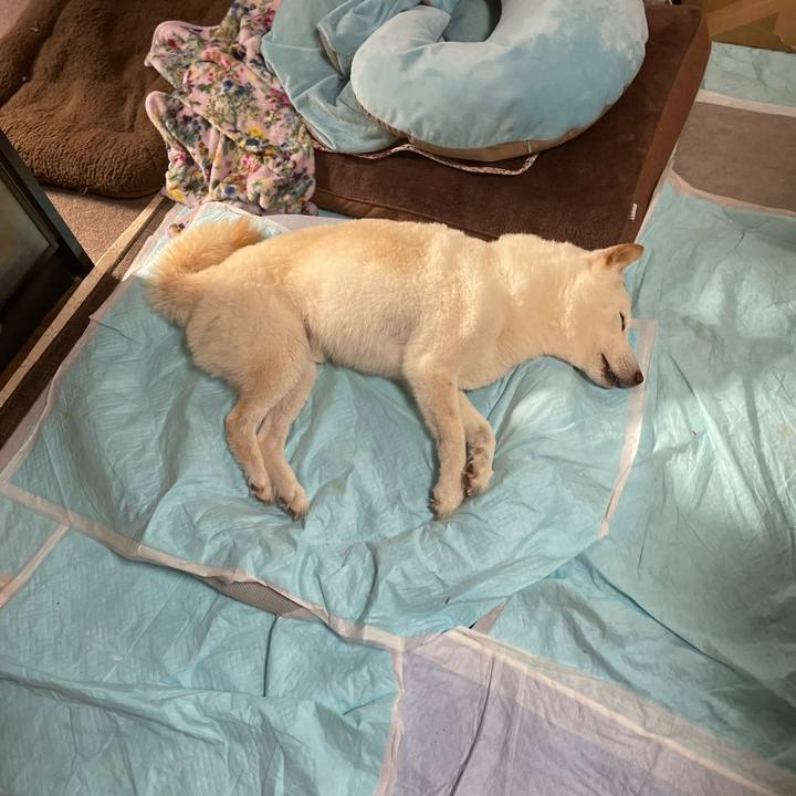 Ee276b7c ac70 4fda b6f5 8ed5e57a8980 1650612598756