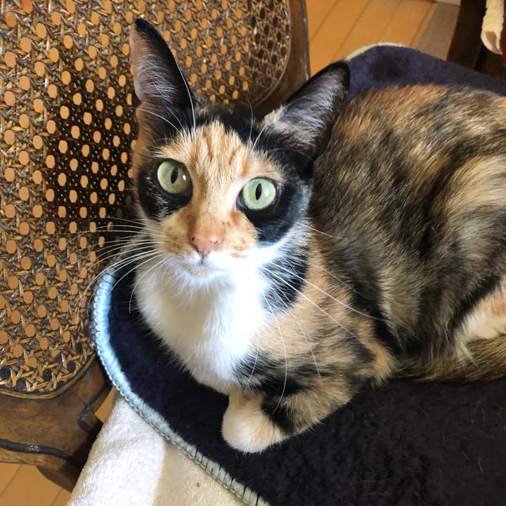 Ee27739a 0a7a 4e58 a15d b68218107c44 1555240526587