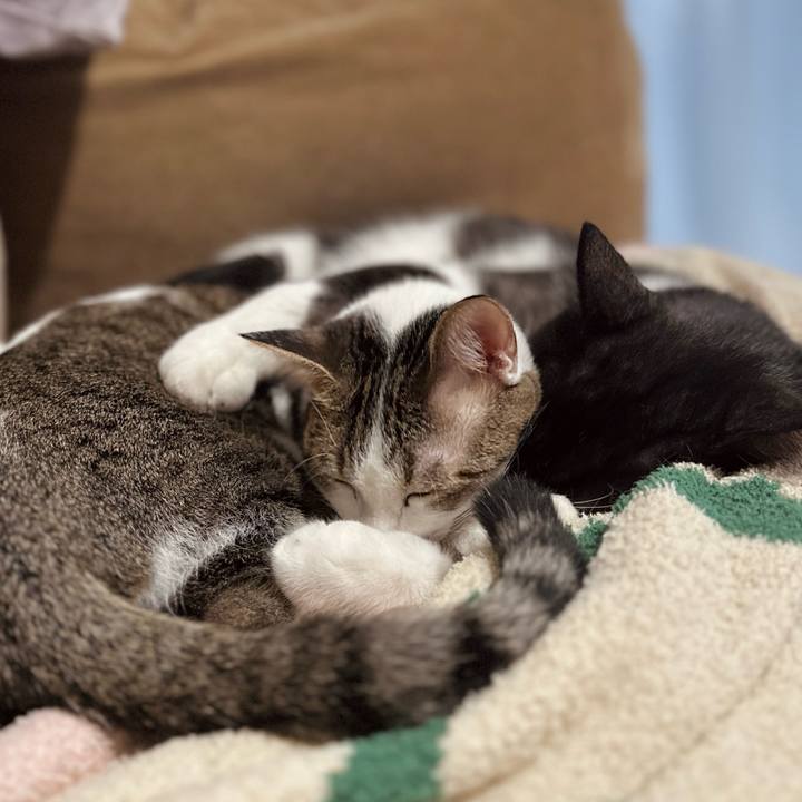 Ee277cb0 f421 4bec b39a 2d1ea8750970 1767602932285