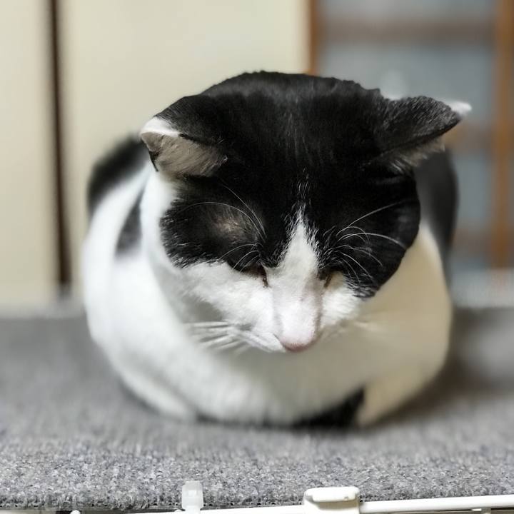 Ee279101 39a8 4b66 9c3c a6d20b44d503 1516198296304