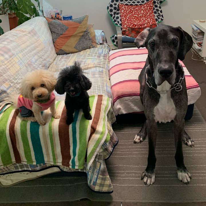 Ee27ac8c 3578 446b 9947 5840d9b598fb 1602455918932