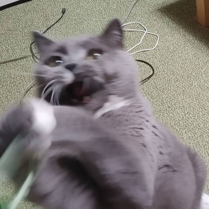 Ee27ce94 8dd2 4cb6 bf36 7f1870b0b20b 1658141454562