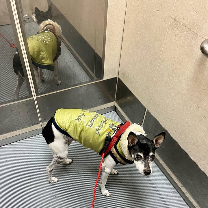 Ee27ecd4 59e2 4079 8494 ca82e637341b 1638567918330