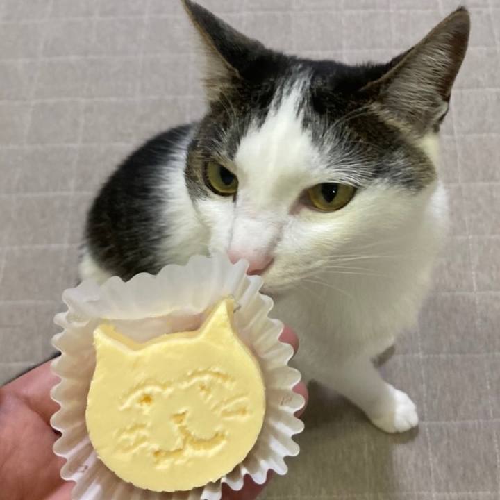 Ee2802ee eea9 4bbf a4ca 60bd758fa2c2 1653483760932