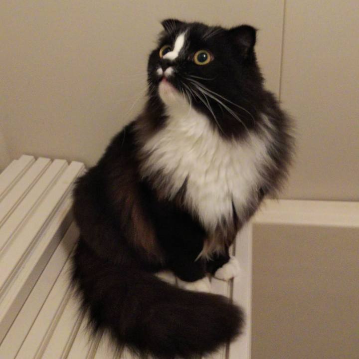 Ee28054a c730 47f8 9bb7 a644857eaf04 1652790237847