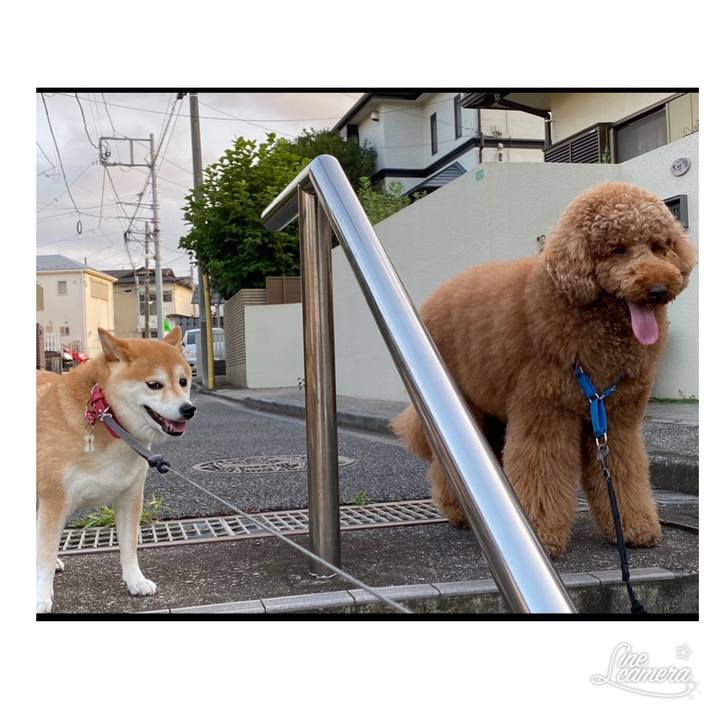 Ee280bb8 61c9 4089 bf7f 3b7db516a0d6 1596462491936