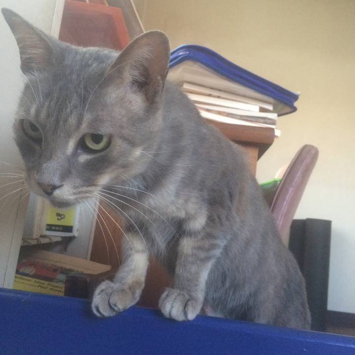 Ee28411a 5436 457d aaa1 01f4885831bc 1567747992314