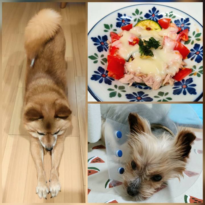 Ee2878ef 3cbd 4d42 8510 7846ade1ddb0 1657712688296