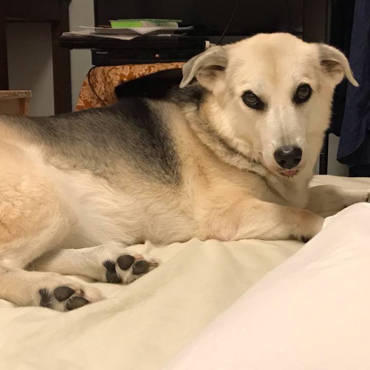 Ee288071 c411 40a4 a43f 2d1b4631acf8 1597931170562