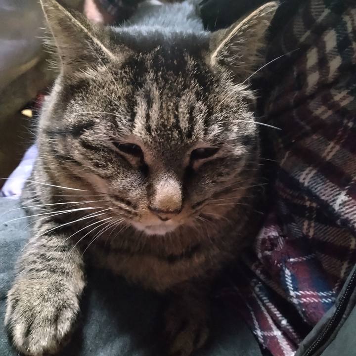 Ee289e18 56b2 48be b15b 0d3ae9c1a0b4 1674375809028