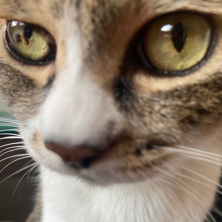 Ee28cd1b a593 498f 96ee 7d499b2822b3 1588381459132