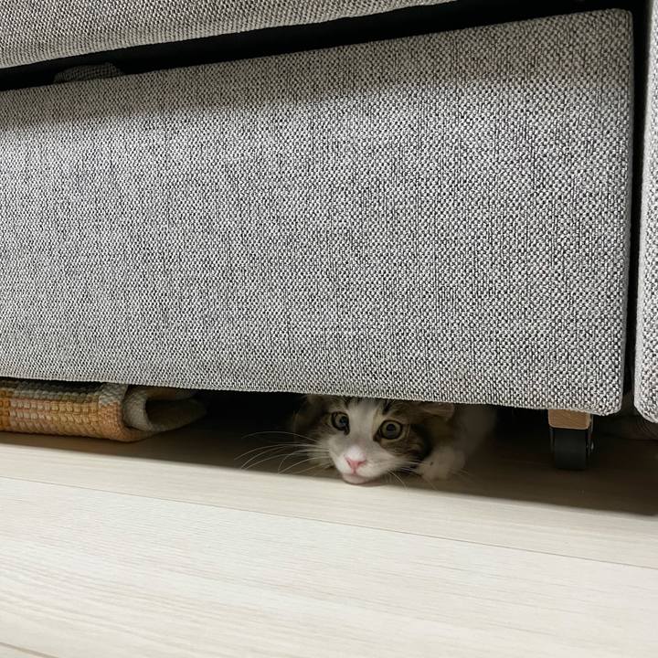 Ee291653 31c2 43ed afbb cbd97940e931 1632775726175