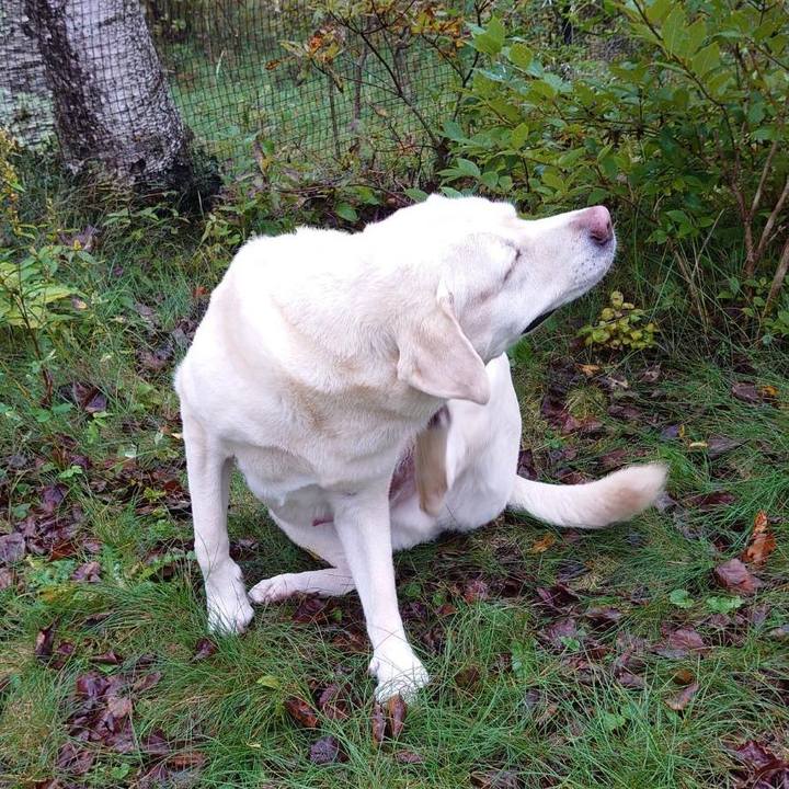 Ee292279 8900 4854 8729 86403697e51f 1728012672142