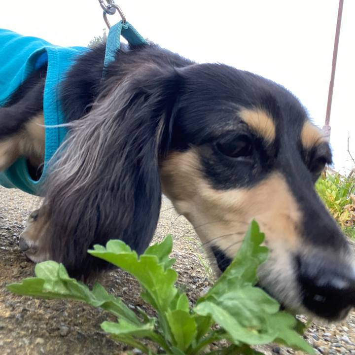 Ee292b56 13cf 4b93 9be3 d7e85f869b27 1695166535417