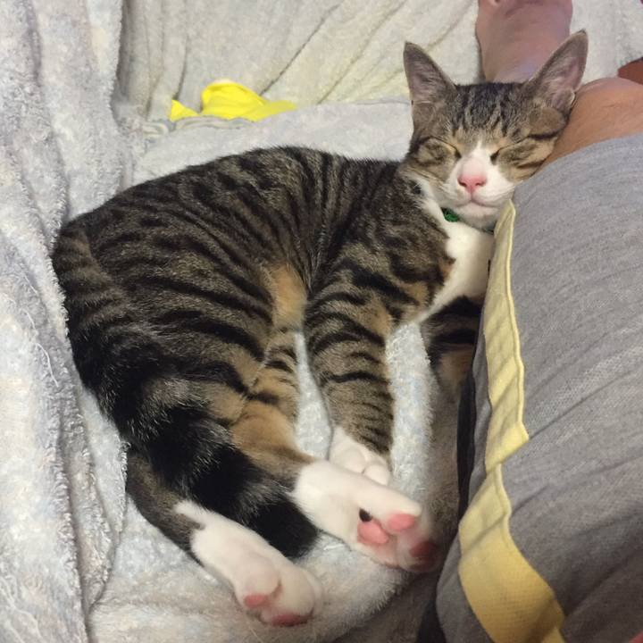 Ee2930f9 cd67 49c6 903e 7de62d69eb3b 1658586988089