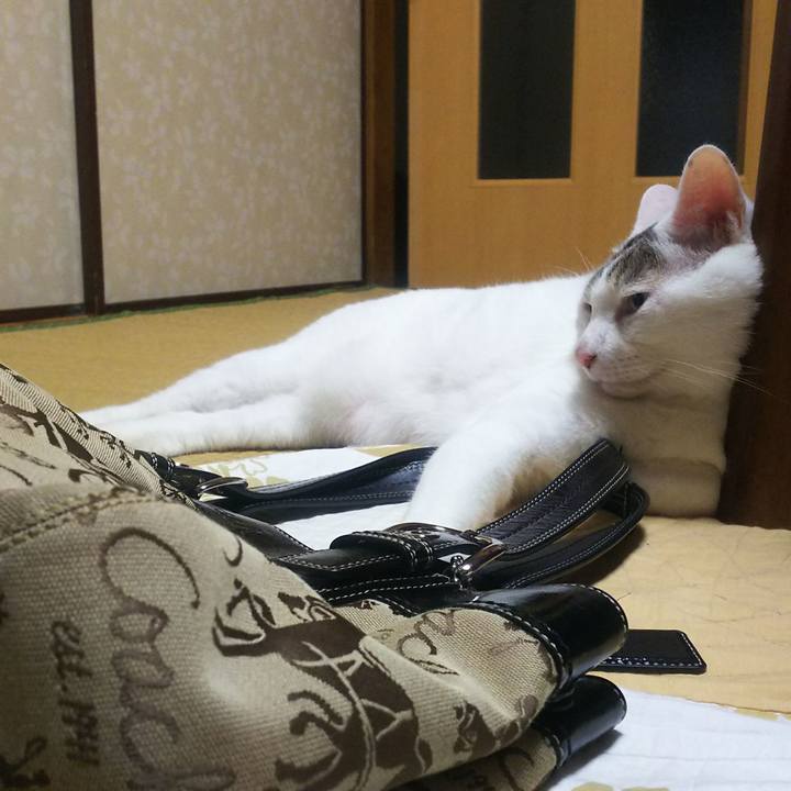 Ee296278 a6e1 4c60 a61c e8d4b94cbd17 1569809817055