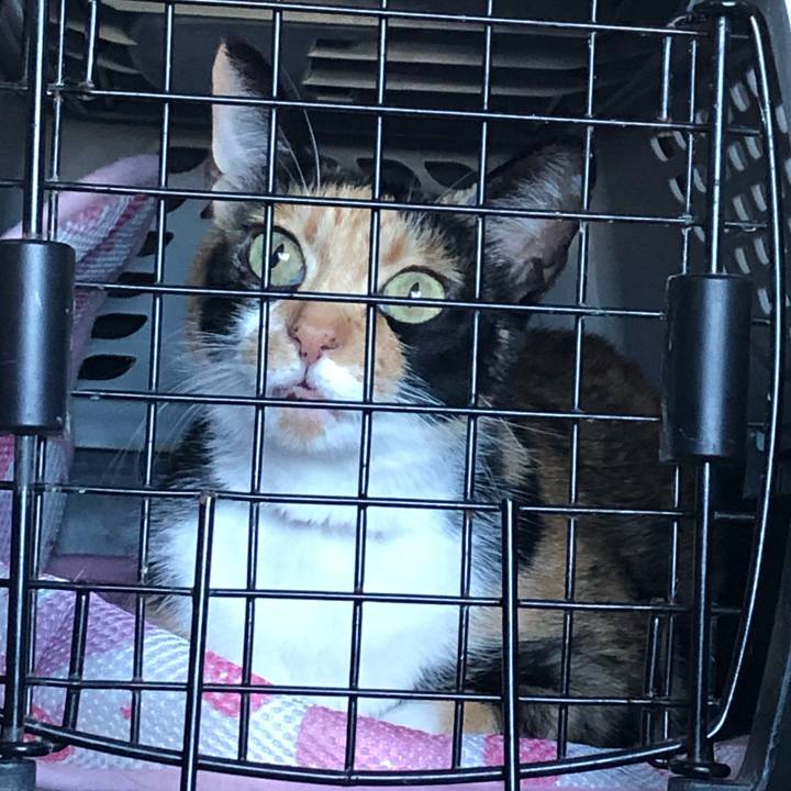 Ee297437 c16d 4bd7 8efe dcea5e9b666c 1597106175654