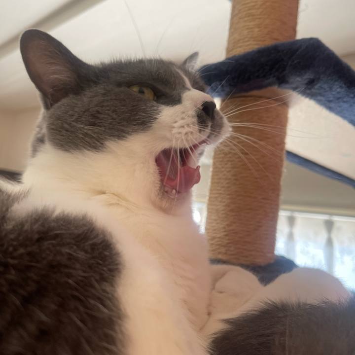 Ee29b0c3 d445 4a8b 82c1 77a8cb4cd68b 1728776387779