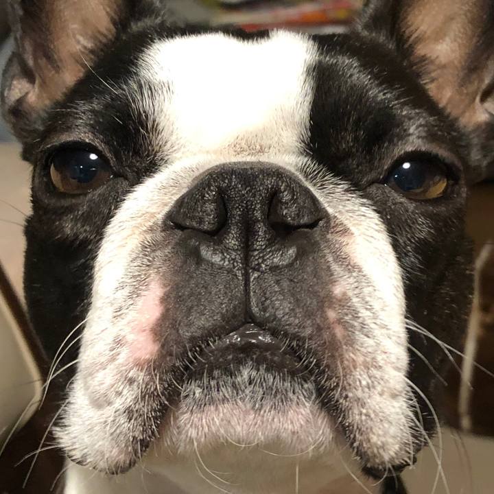 Ee29dfb6 82d4 4bfc ac31 cb23b2a7b7f7 1610875236249