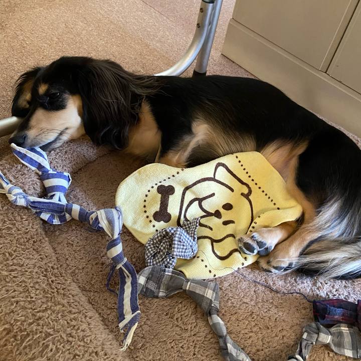 Ee2a57a9 c5da 46c2 9b18 ce0ef0a48e4c 1695616844048