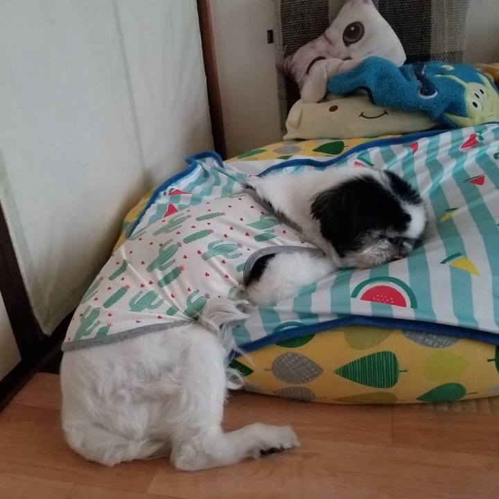 Ee2ad54f 26a5 4bb4 8923 4a0676d919ac 1622156721542