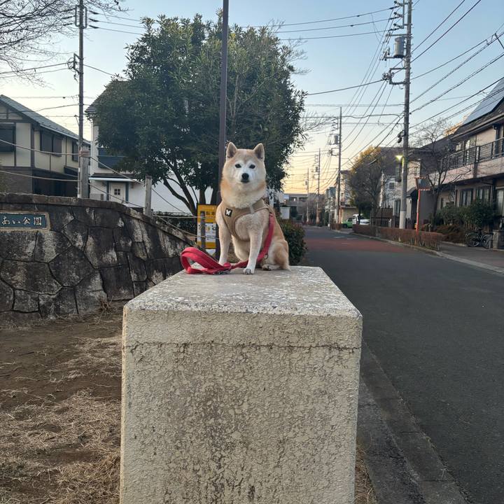 Ee2adb16 4313 49d7 b8f9 93083a93b296 1740515465444