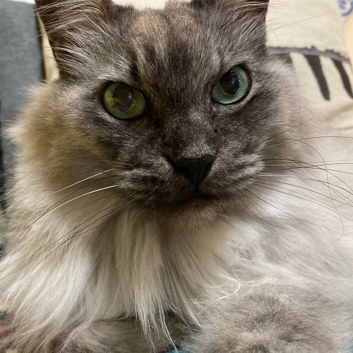 Ee2b5844 9b21 4e5c 848a 6b00ae198d61 1709978872626